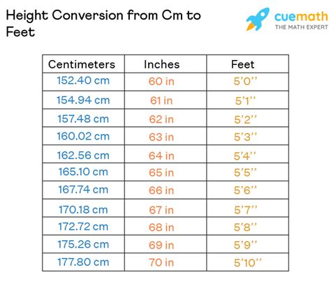 162.5 cm in feet|162.5 cm in feet